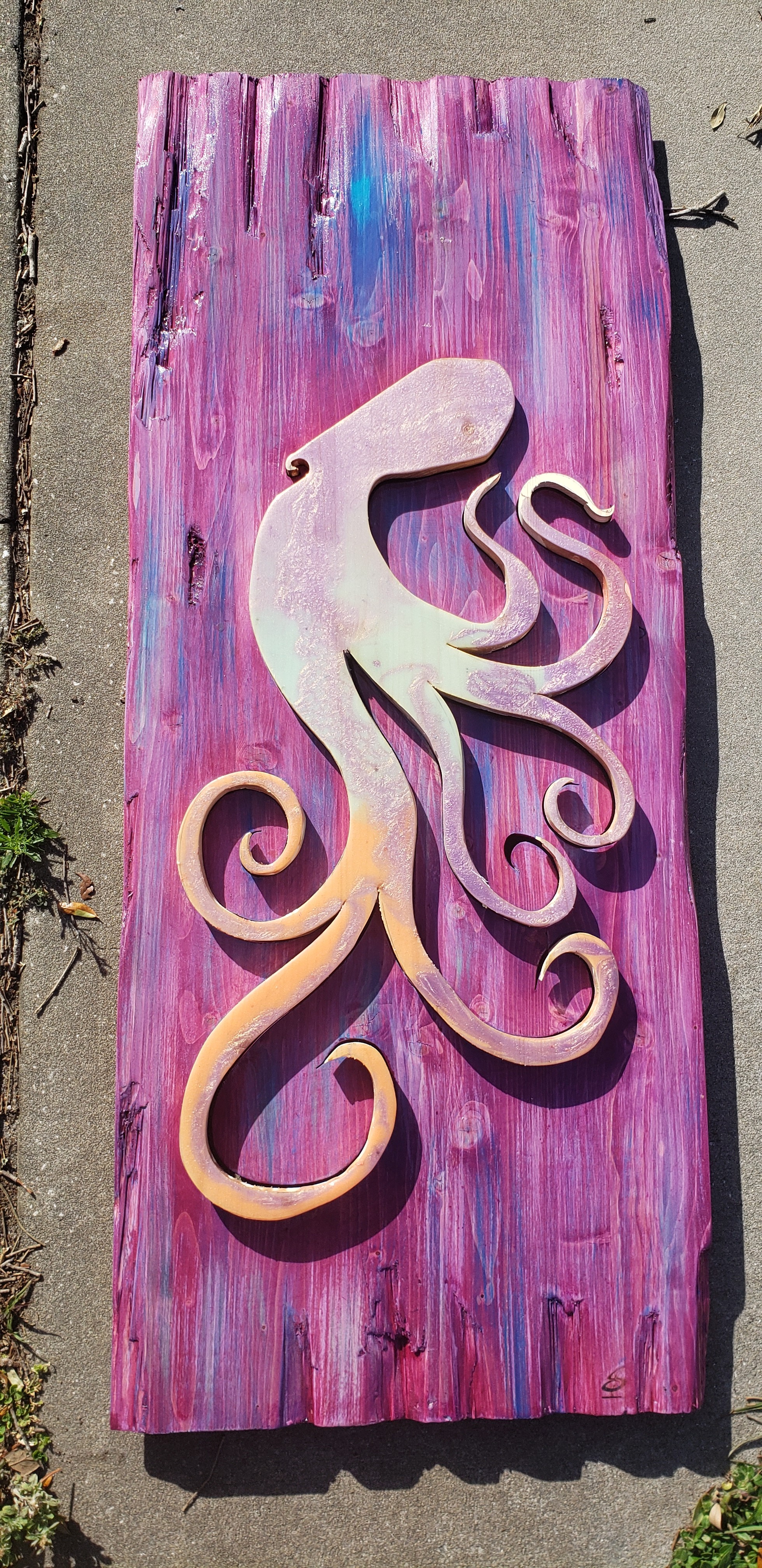 Octo-Squid in 3D
