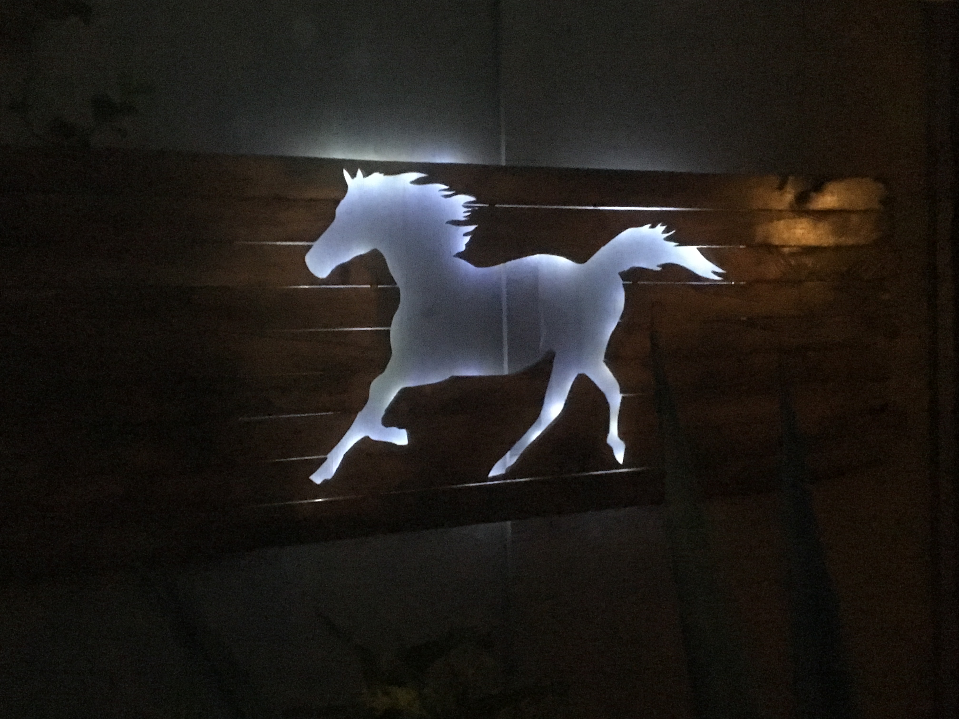 Ghost Horse at night