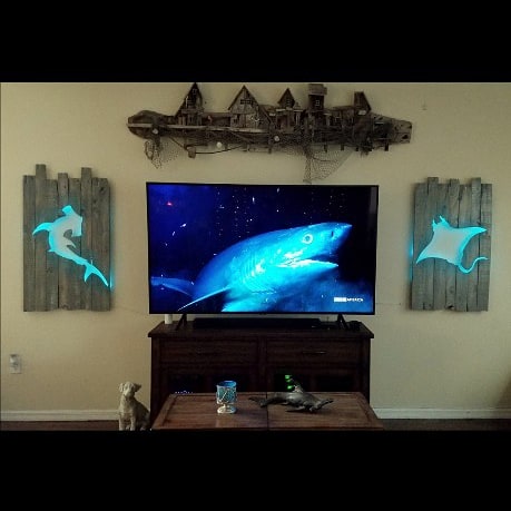 Shark Week !!!