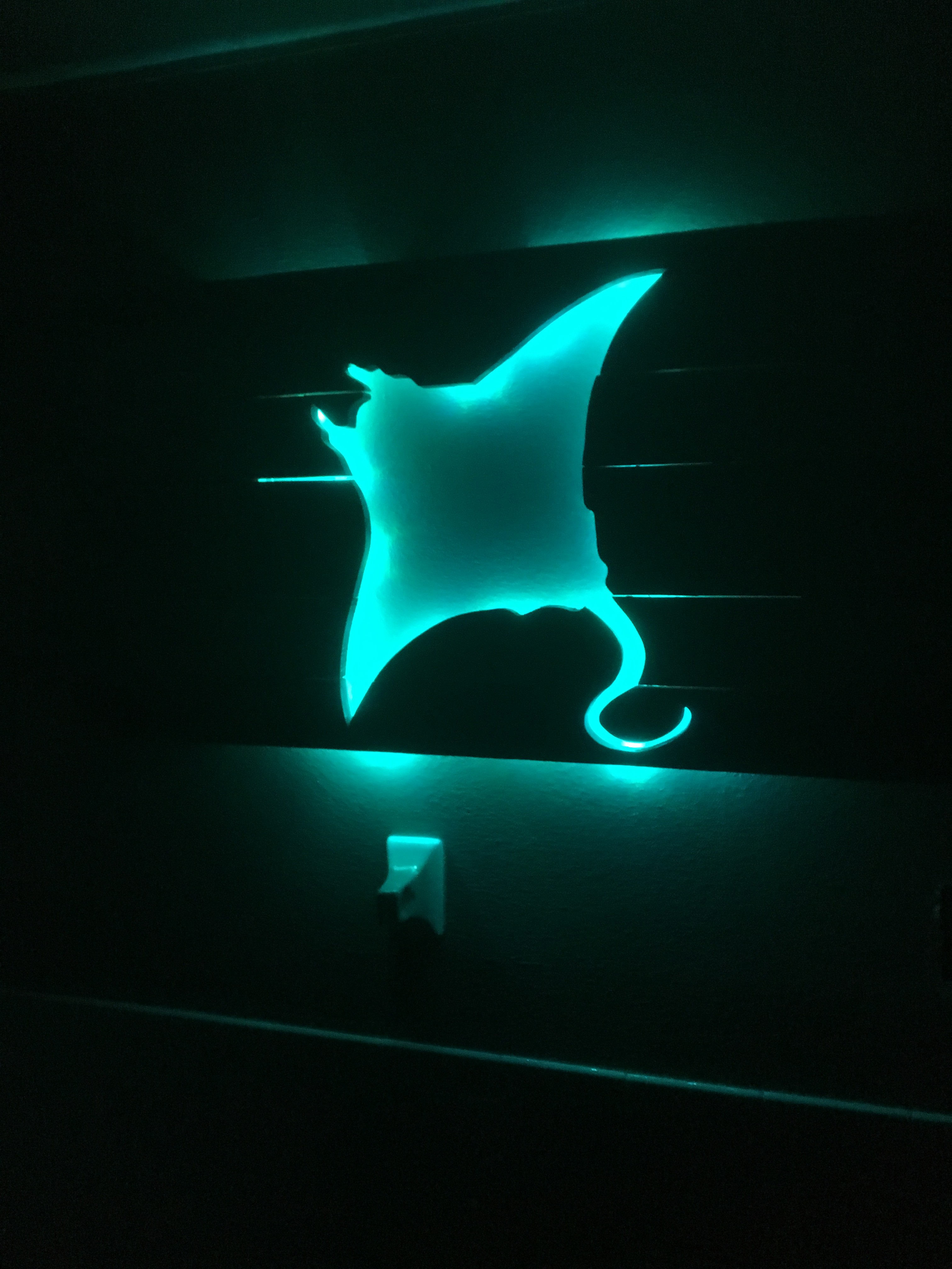 Gamma Manta Ray