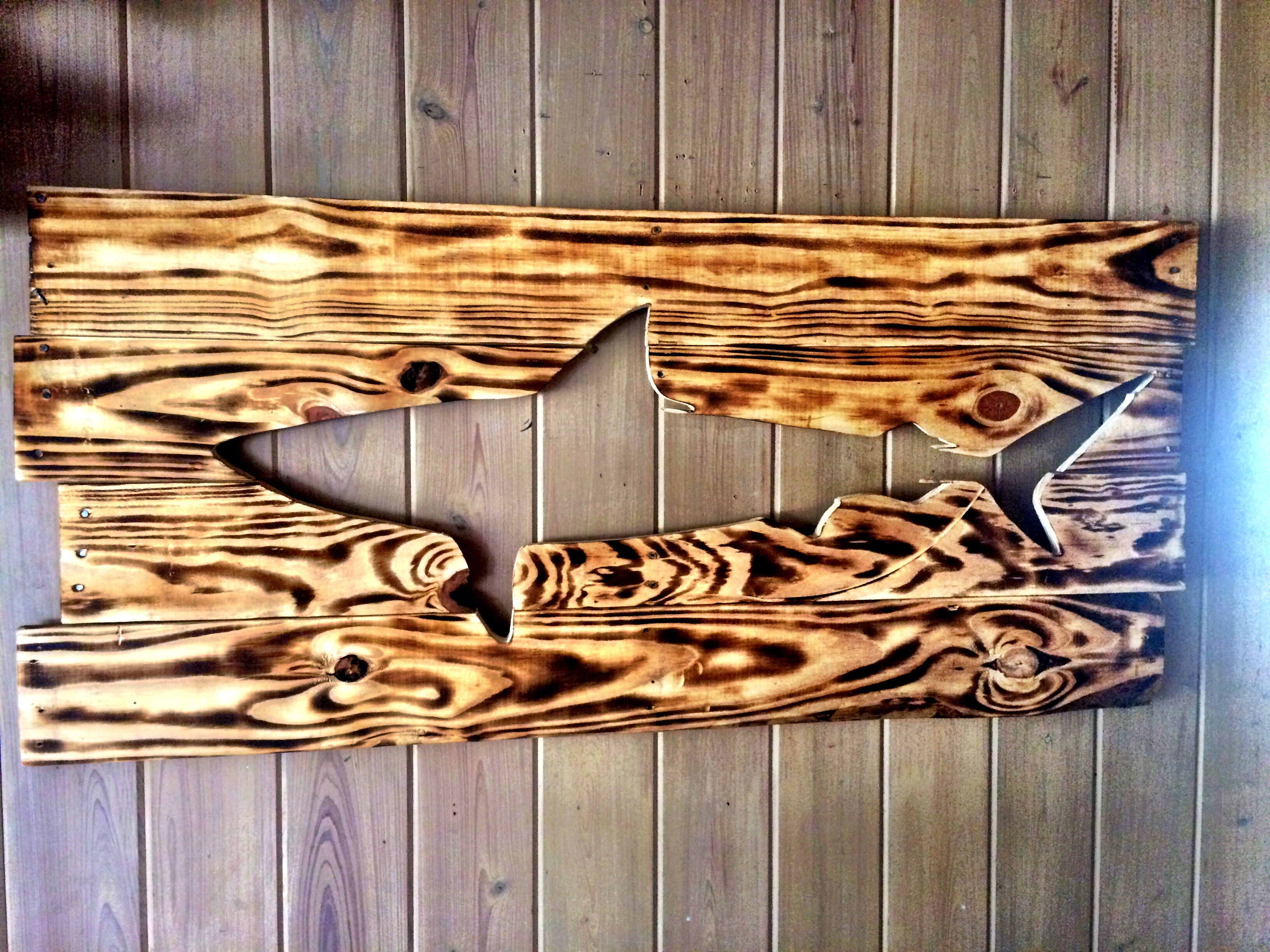 Tiger Shark !